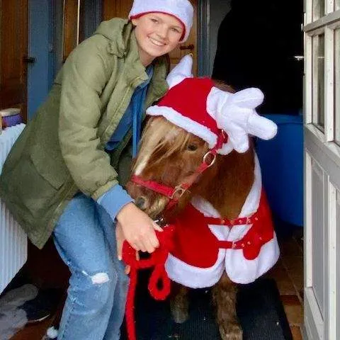 Julemandens pony i flot ny juledragt
